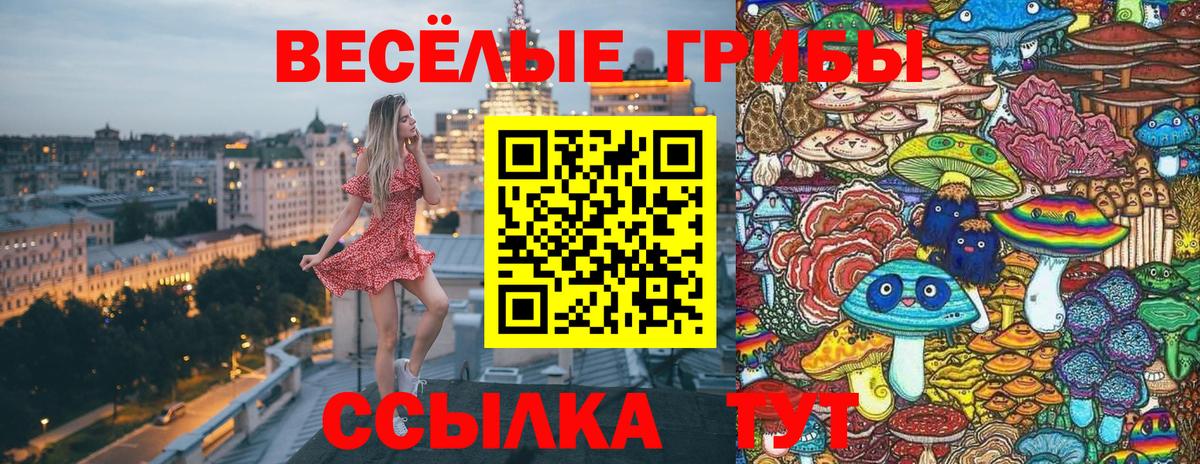 Галлюциногенные грибы GOLDEN TEACHER Ковров