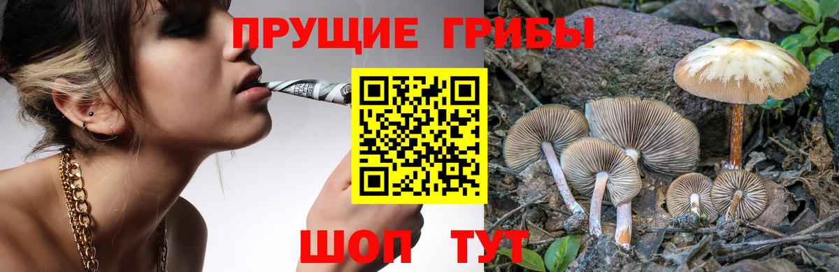 Ковров  Псилоцибиновые грибы Cubensis  Вход с VPN 